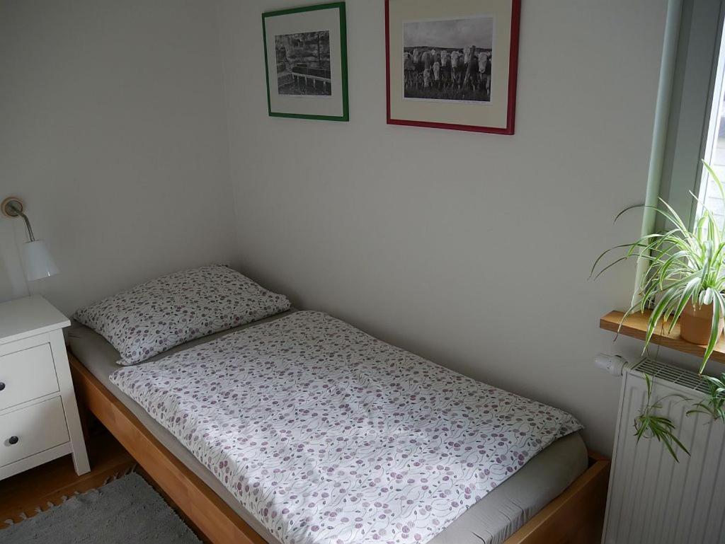 Irreler Muehle Ferienwohnungen Und Ferienhaeuser 外观 照片