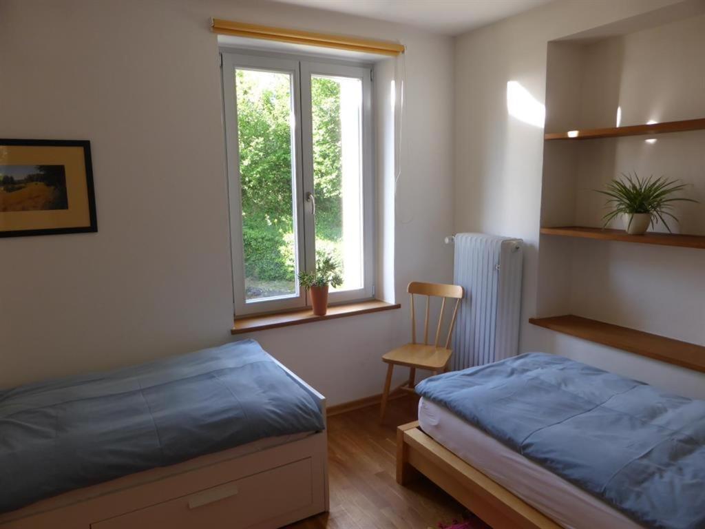 Irreler Muehle Ferienwohnungen Und Ferienhaeuser 外观 照片